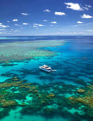 Great barrier reef Aerial view - Cairns