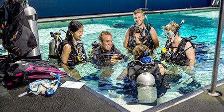 Diving courses open water prodive cairns
