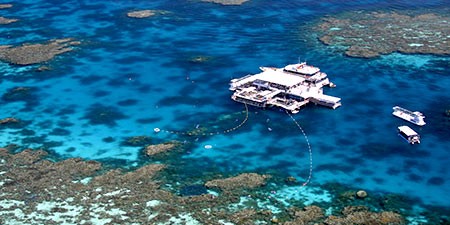 The Great Barrier Reef pontoon diving in Cairns Australia